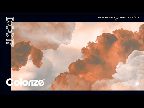 Colorize Best of 2025, Mixed by mölly